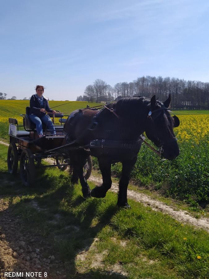 Veritable Roulotte Hippomobile "La Bailleul" Mentheville Dış mekan fotoğraf